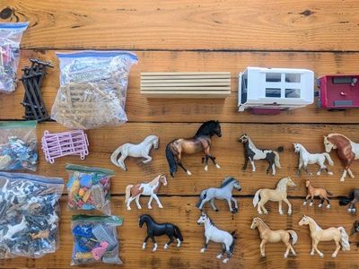 Horse Toys and Accessories