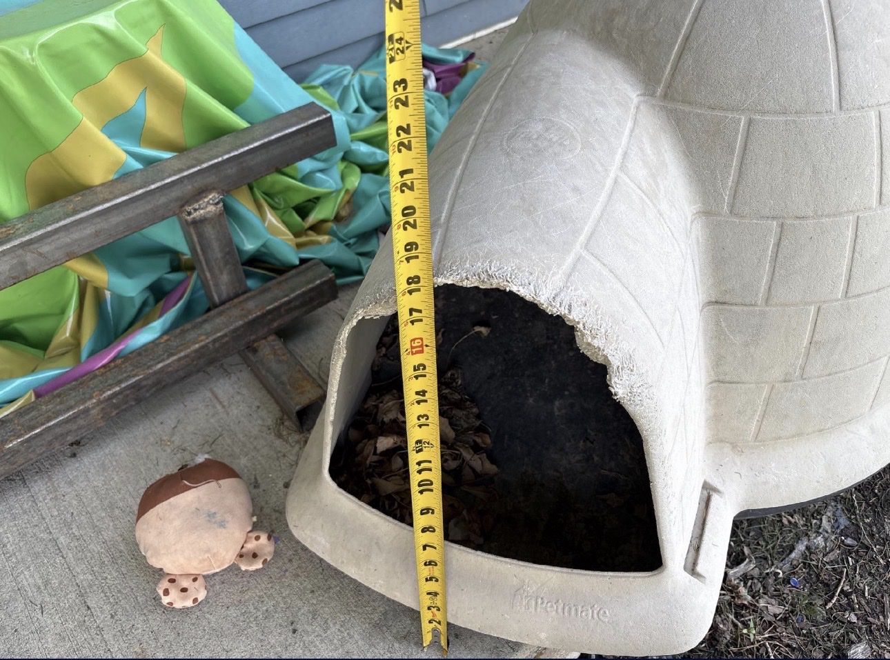 Main image 3