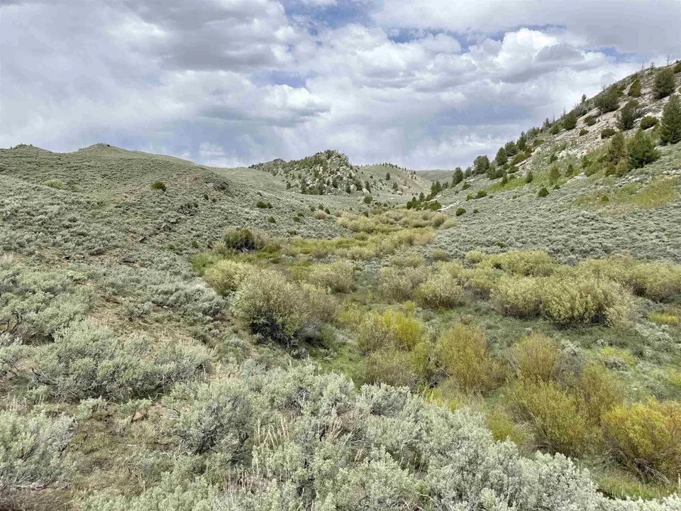 Main image 17