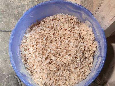 Maple sawdust