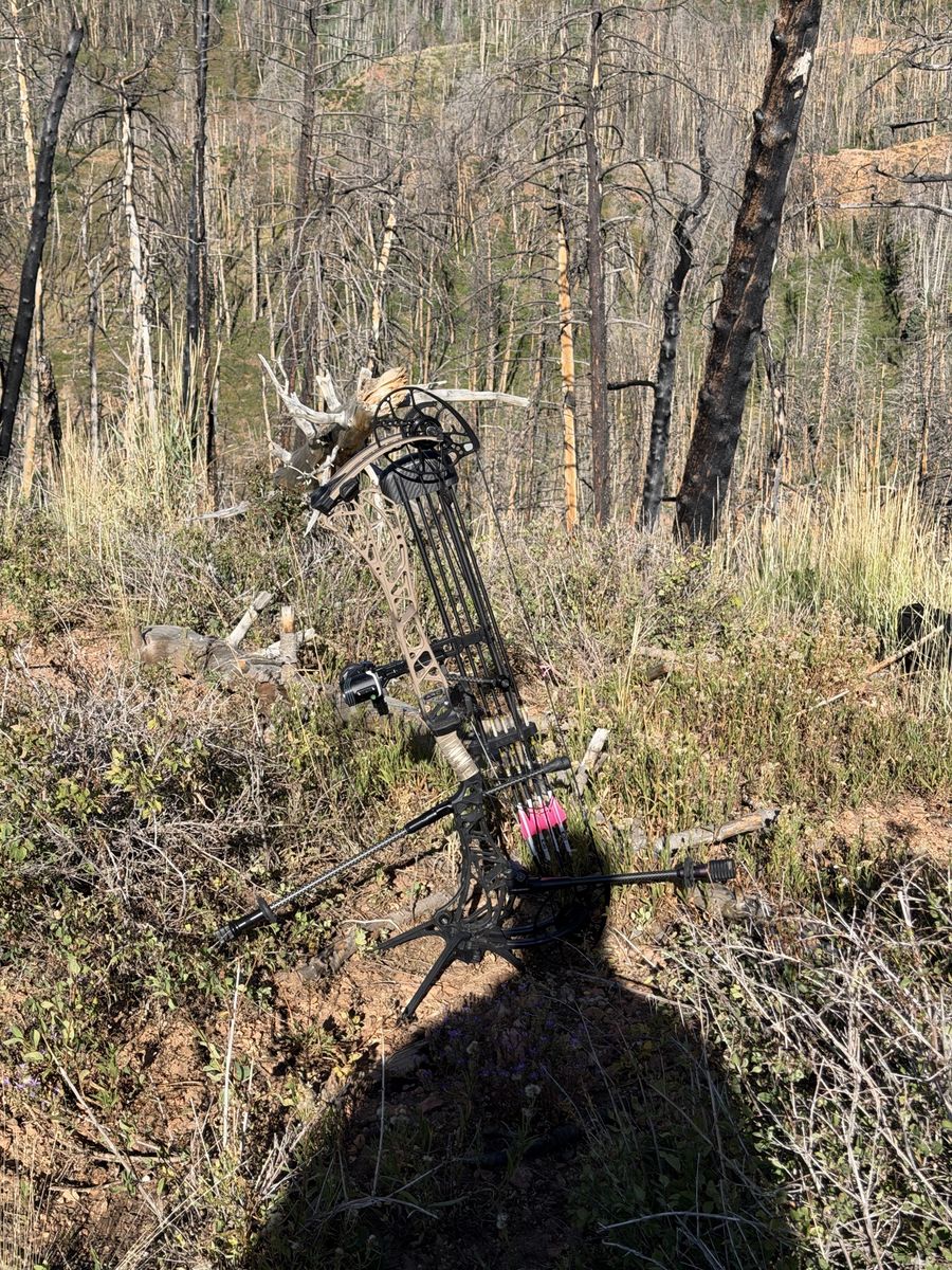 Mathews Arc 34 (Bare Bow Only)