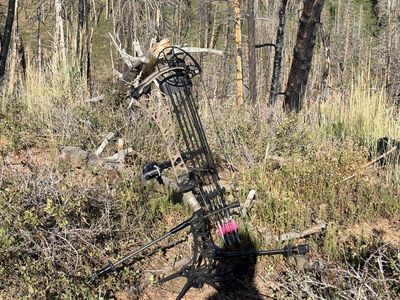 Mathews Arc 34 (Bare Bow Only)