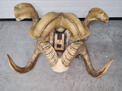 Mold for Repo 43 inch Dahl Sheep horns
