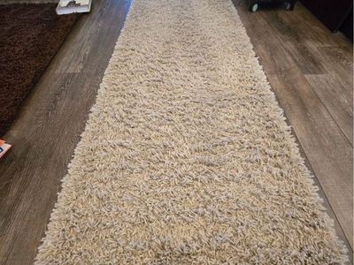 3 shag rugs
