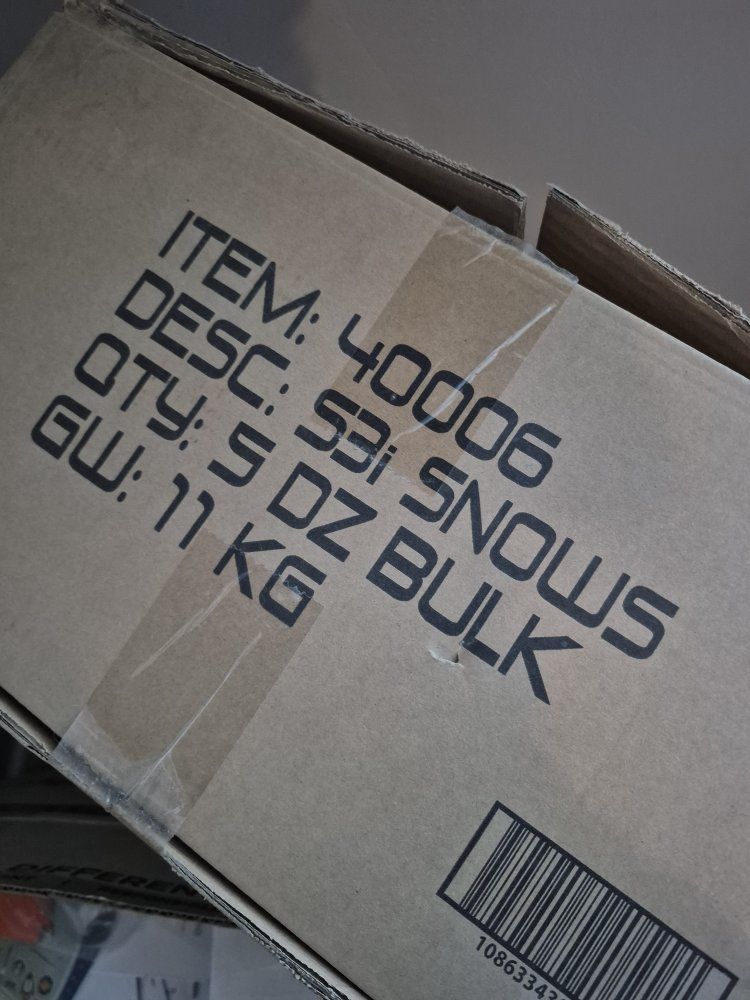 snow goose decoys