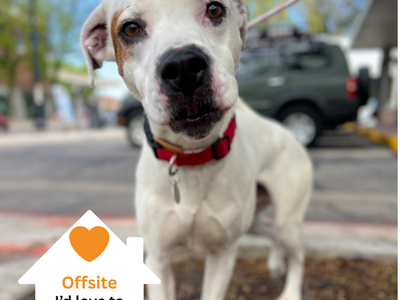 Hello my name is Olaf