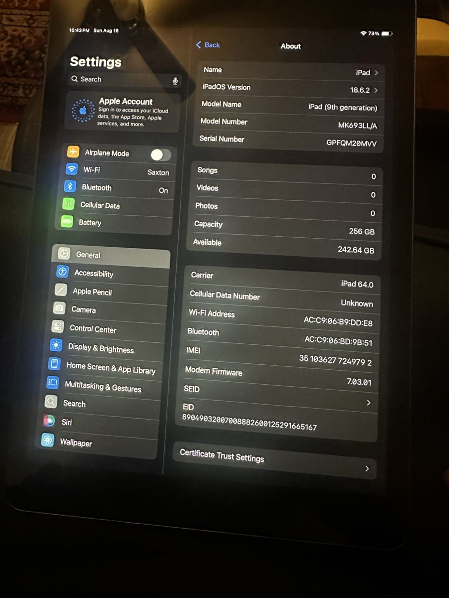 iPad 9th gen 256 GB