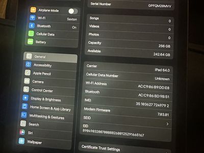iPad 9th gen 256 GB
