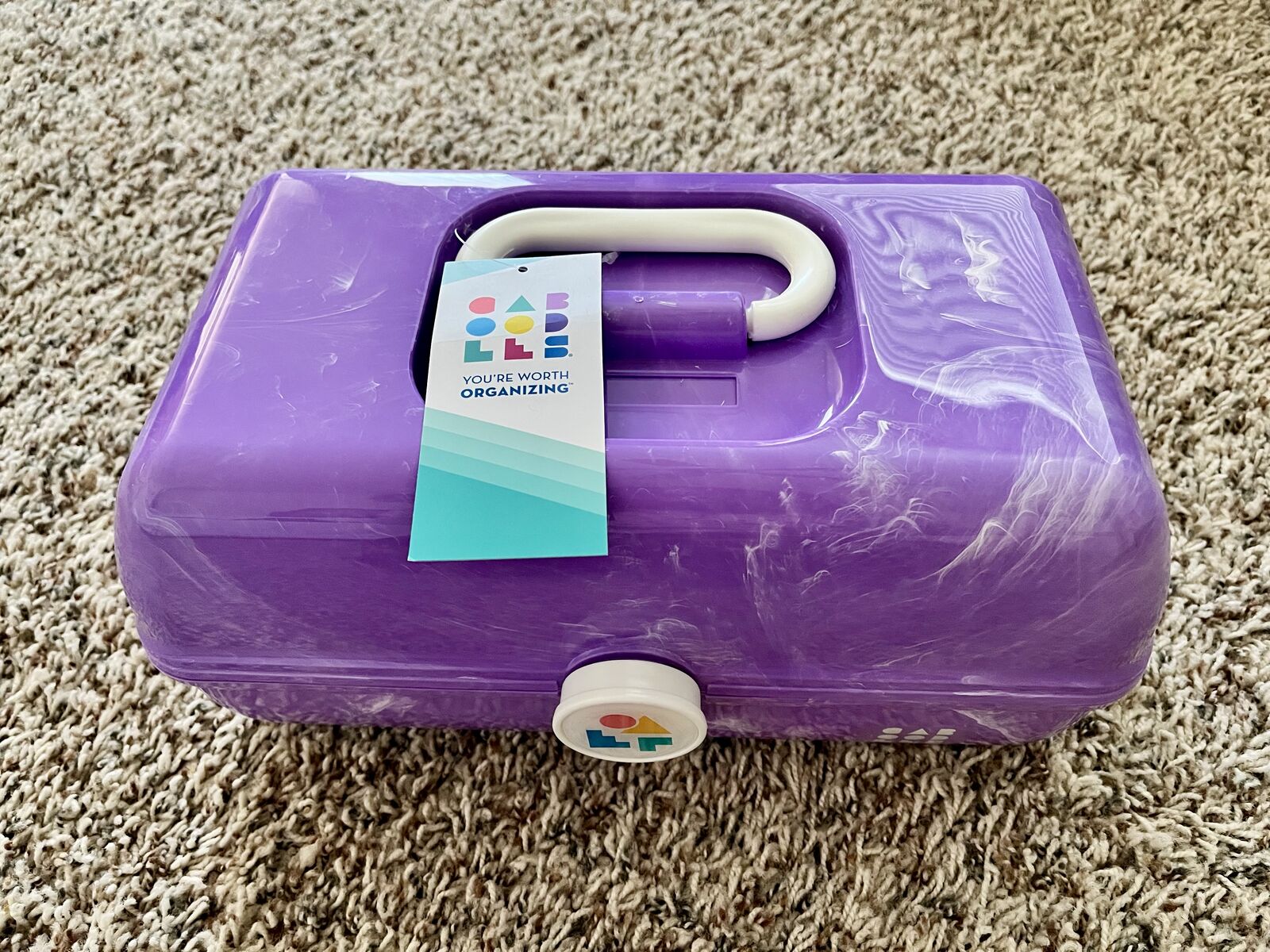 Caboodle Girl on the Go Case