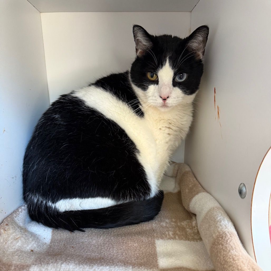 Hello my name is Airey