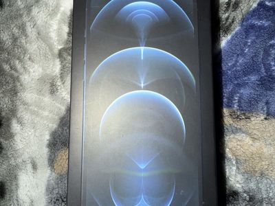 IPhone 12 Pro Max 256 Gb