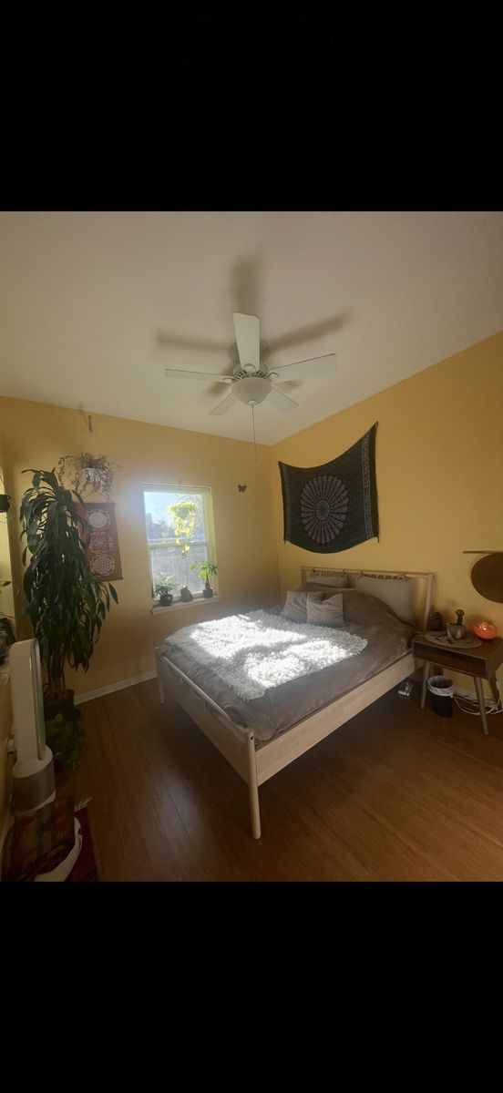Main image 2