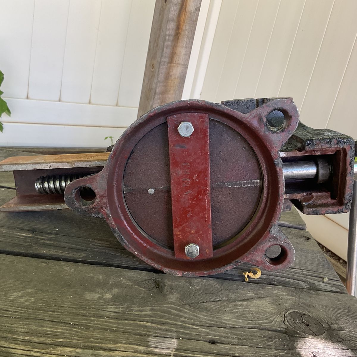 Main image 5