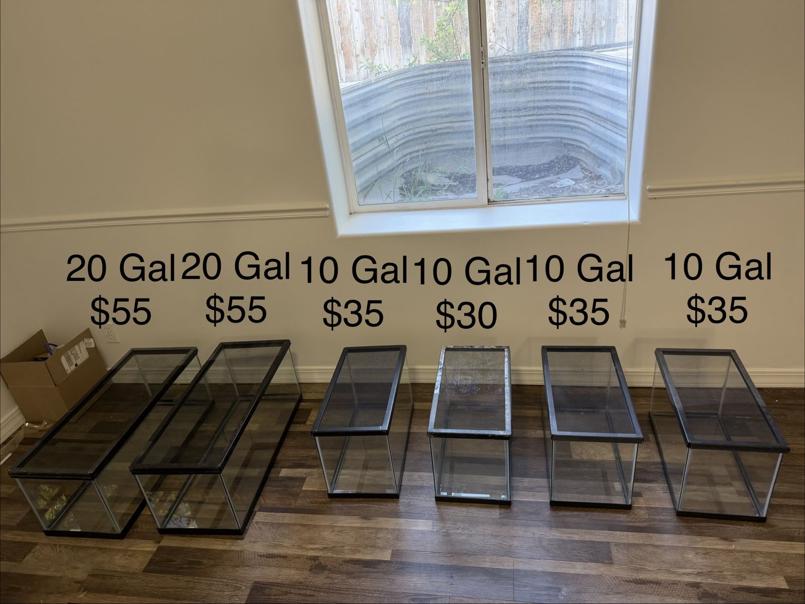 10 Gal Glass Tank with Lid (3 Available)