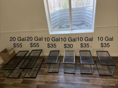 10 Gal Glass Tank with Lid (3 Available)