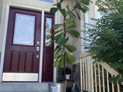 Assorted Indoor Houseplant Bundle Featuring Tall Fiddle-Leaf Fig & Planters, $40