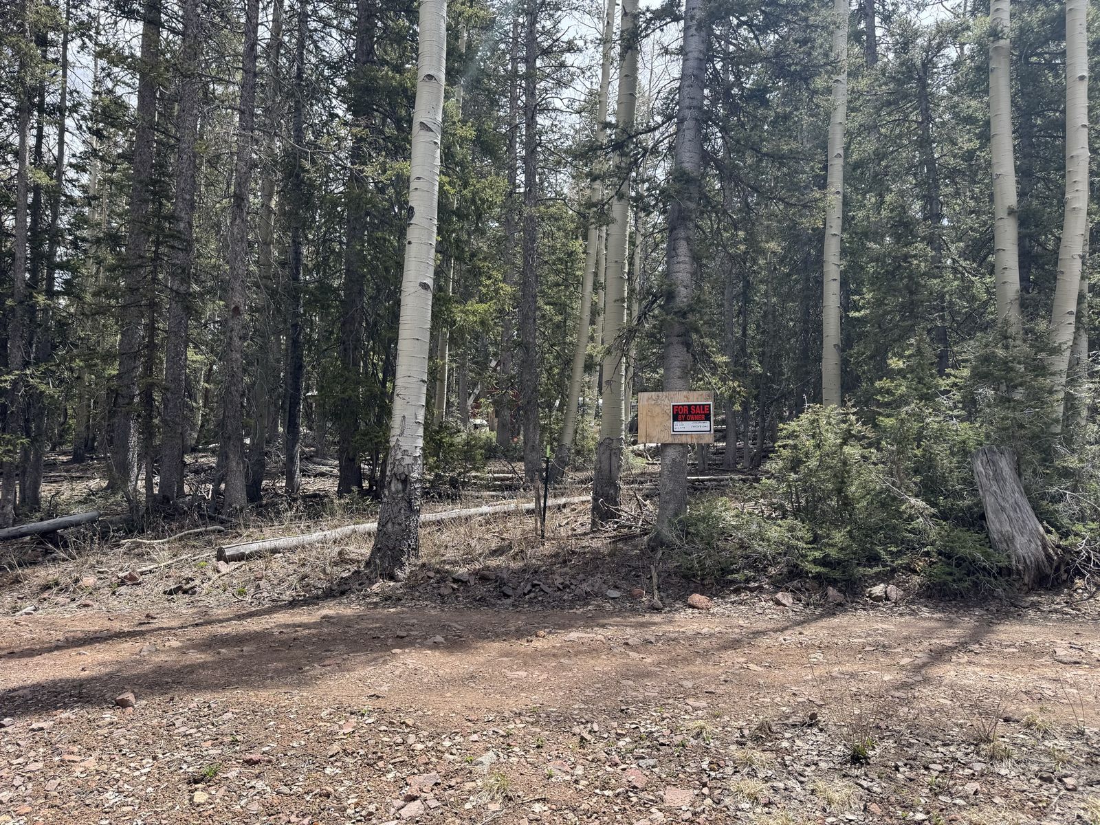 4 lots with cabin - Leased ground on state trust land lease agreement.