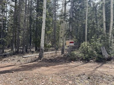 4 lots with cabin - Leased ground on state trust land lease agreement.