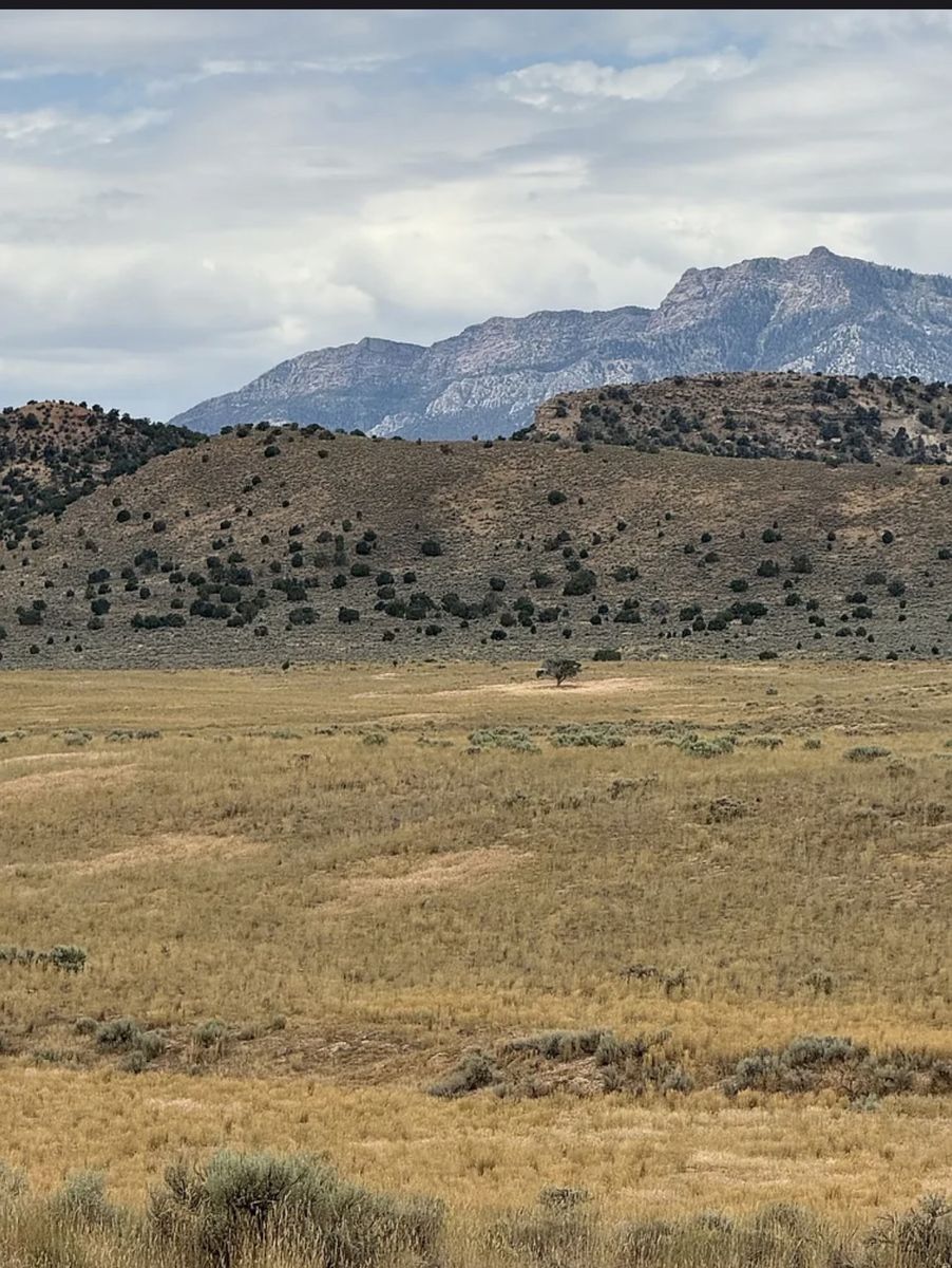 5ac Lot near Yuba Reservoir 