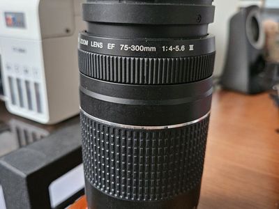 Canon EF 75-300mm f/4-5.6 III Zoom Lens for Canon DSLR Cameras - Excellent Condition