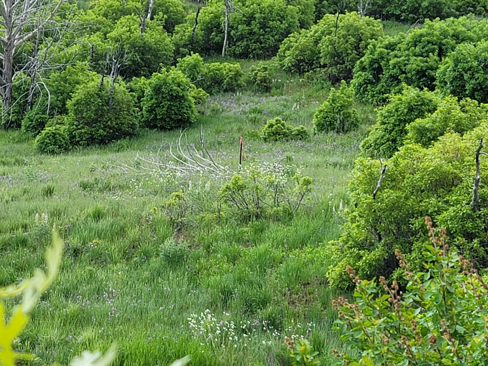 Main image 3