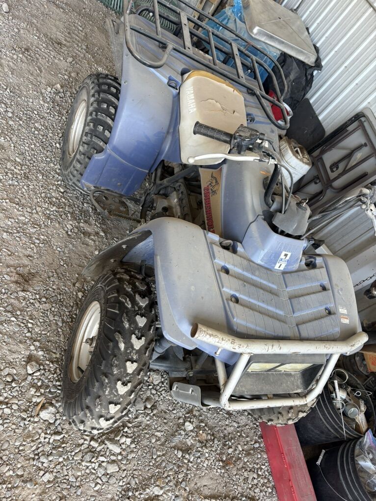 Yamaha Timberwolf 250