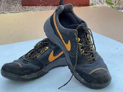 Nike Hiking Shoes