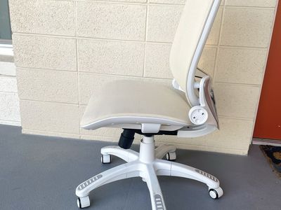 Mesh Office Chair