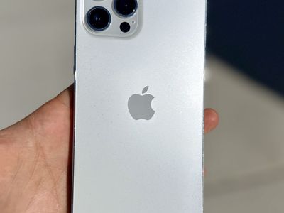 iPhone 12 Pro Max 256 GB Unlocked