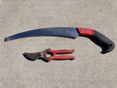 Corona clipper and saw $24 for both