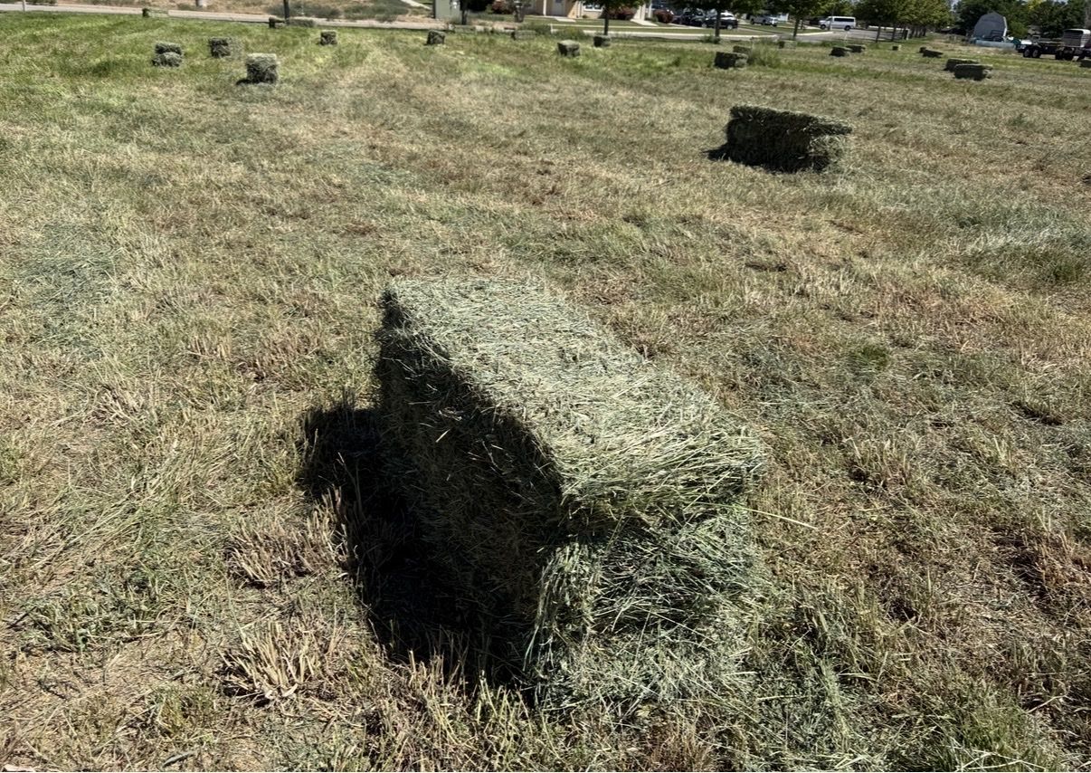 Main image 3