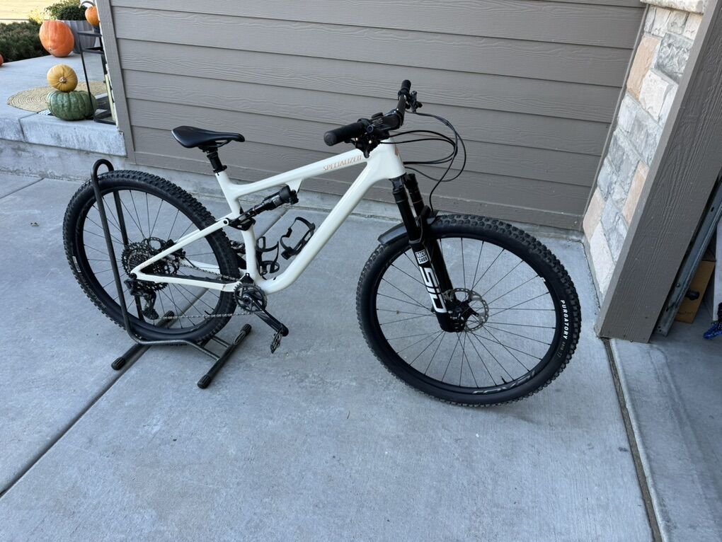 Large Specialized Epic Evo