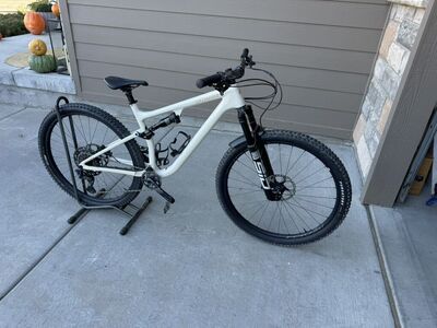 Large Specialized Epic Evo