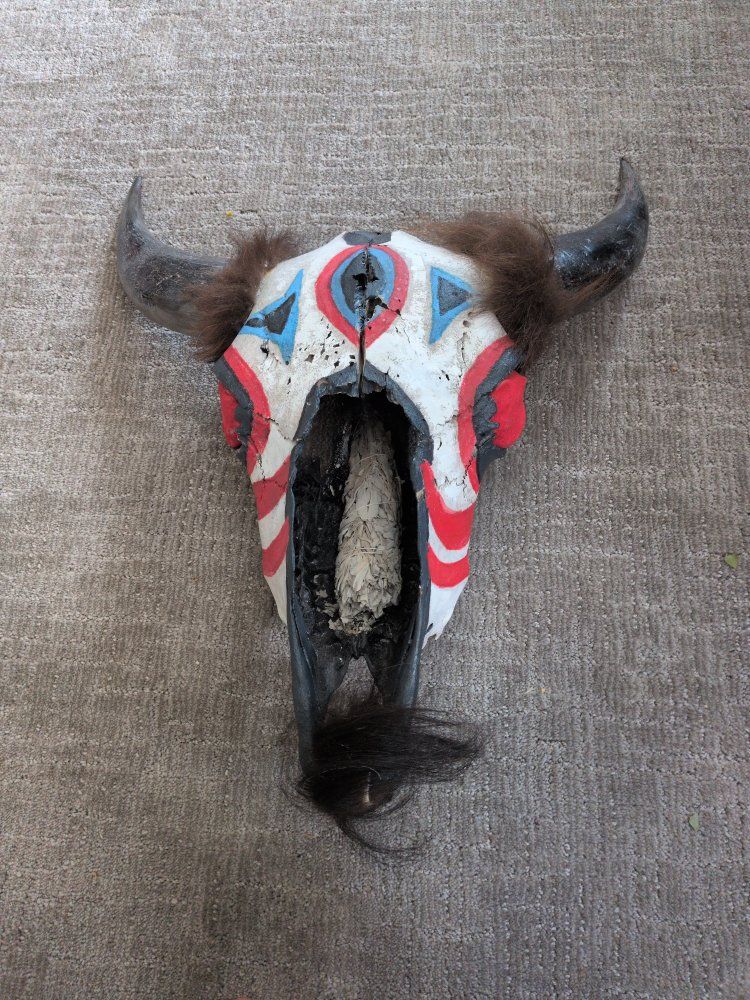 1890 Lakota Buffalo skull