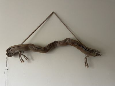Handcrafted hanging driftwood led lamp
