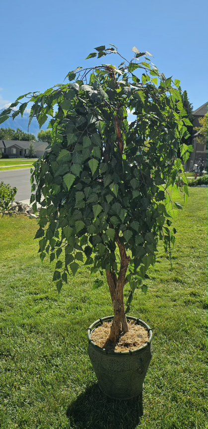 Lifelike Artificial Birch Tree with Decorative Green Metal Planter - Perfect Home Decor Accent 74"Tx30"W
