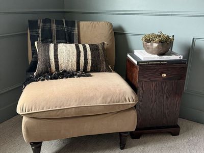 World Market oversized velvet armless lounge chair