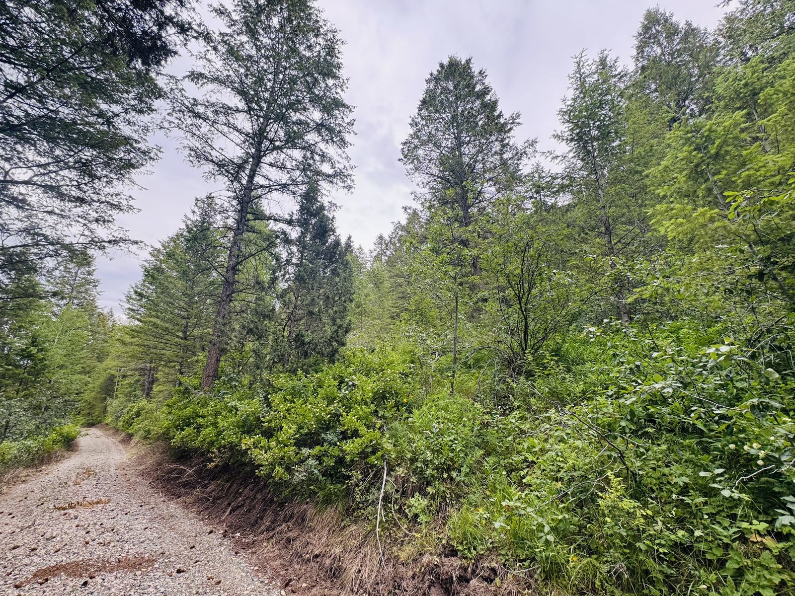 Main image 14