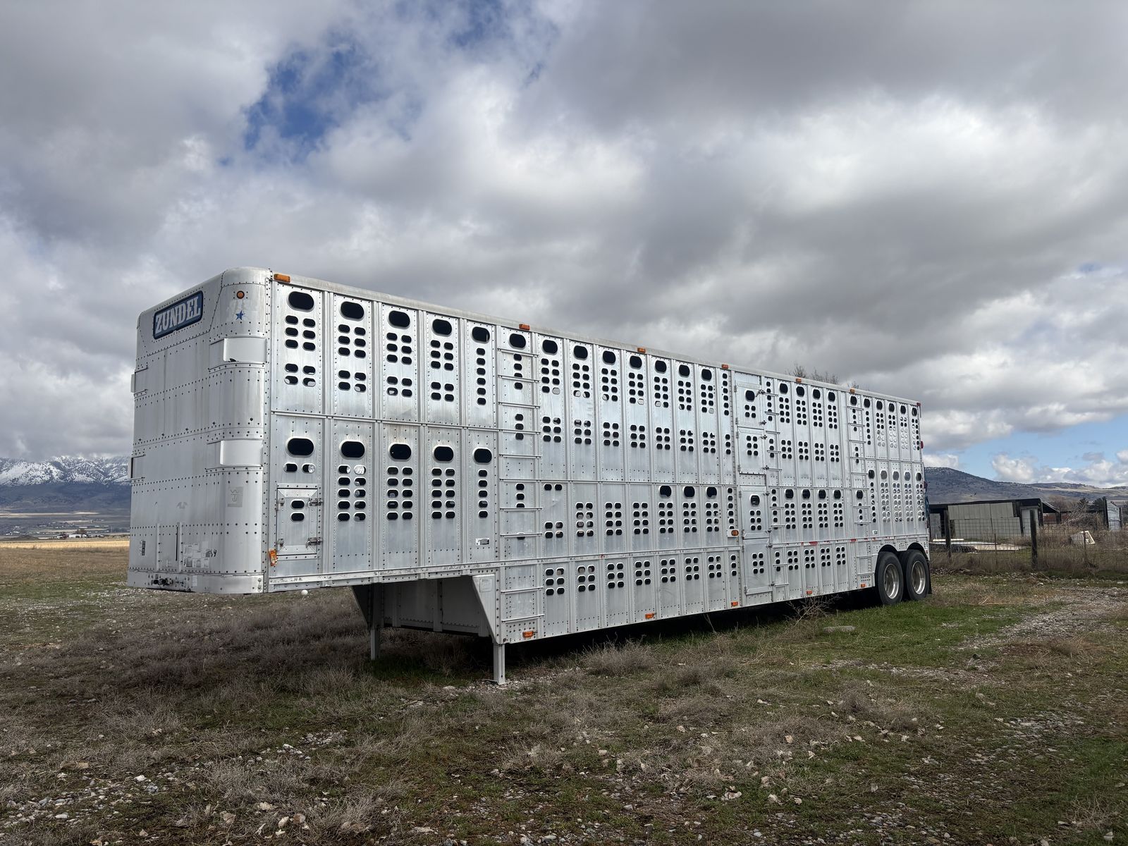 99 Wilson bull wagon