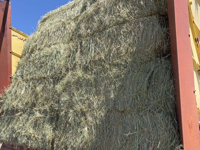 Hay