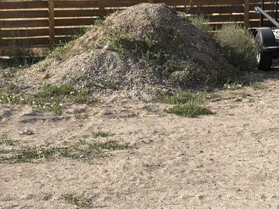 Free Fill Dort - Local Pickup Only - Will load