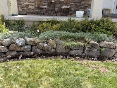 Free landscape rocks