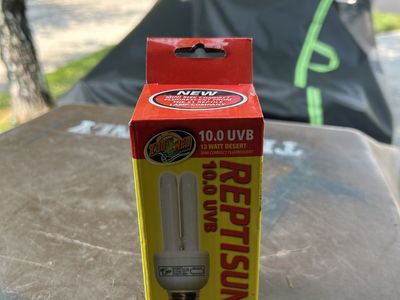 UVB Bulb