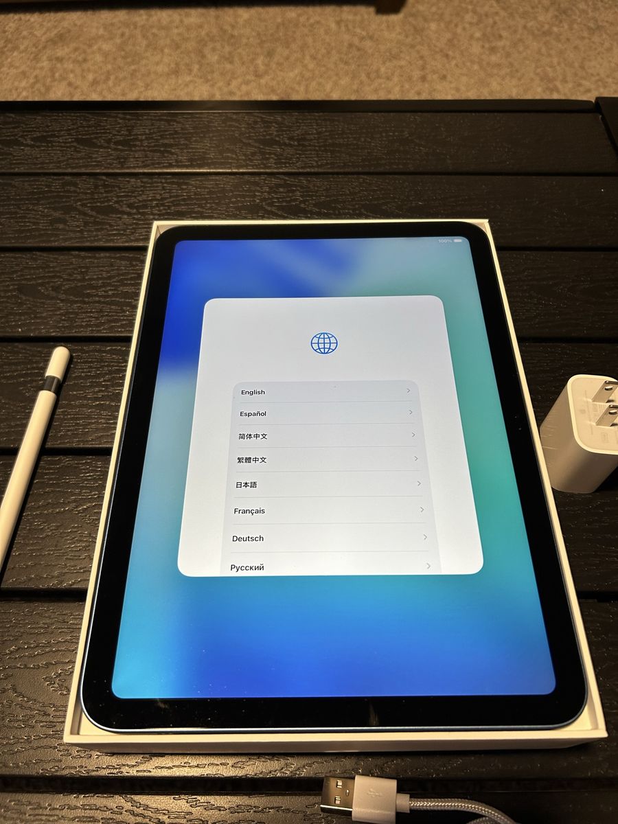 Apple iPad Blue