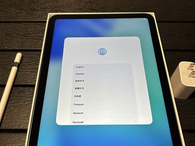 Apple iPad Blue