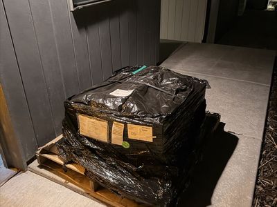 BDS Suspension 4" Lift Kit (Ford F-150, 2021-2026)