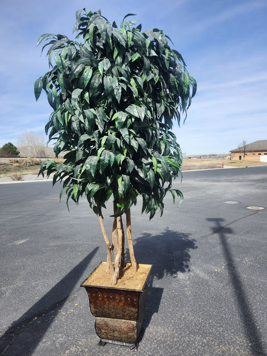 Artificial Ficus Tree 10ft