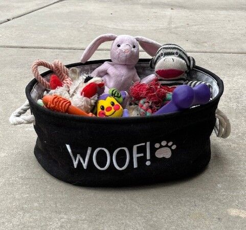 Great Dog Toy Container. Also Have 3 Dog Beds