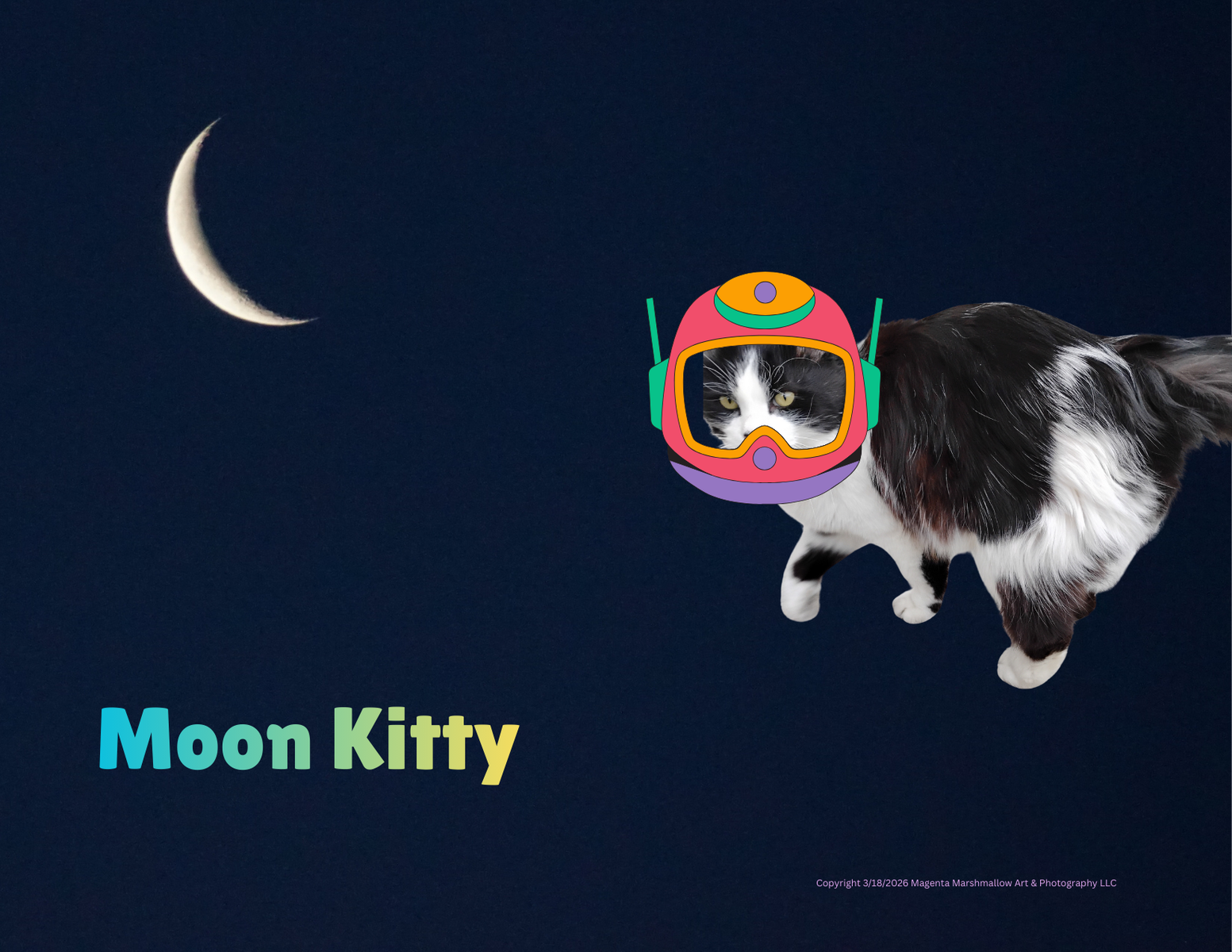 Moon Kitty - Premium Plush Blanket