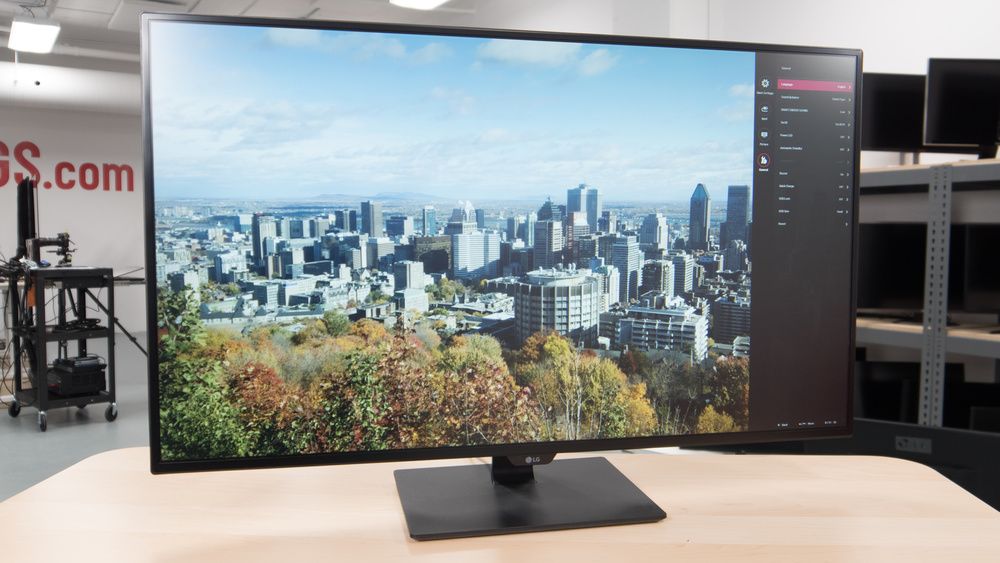 43" Class 4K UHD IPS LED Monitor (42.5" Diagonal)